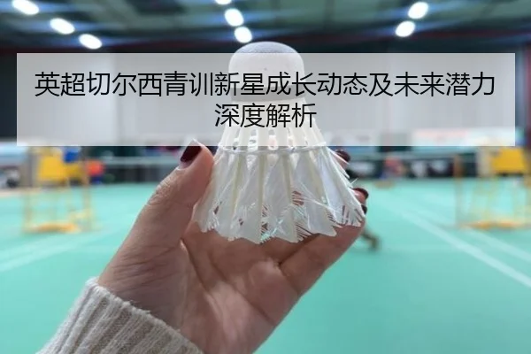 英超切尔西青训新星成长动态及未来潜力深度解析